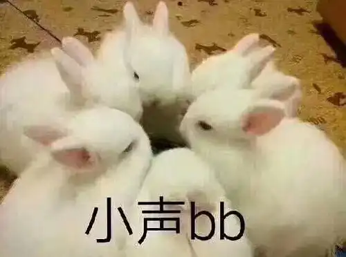 进来讲一条最好笑的笑话吧
