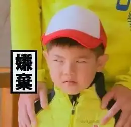 鹿晗实力嫌弃接吻大张伟,李易峰张艺兴安吉tfboys青宇倾情奉献嫌弃颜艺大赏
