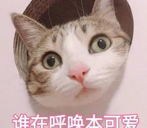 零食
