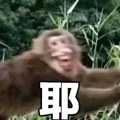 我的收藏夹
