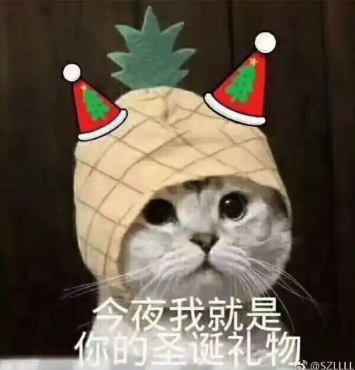 可爱的圣诞节表情包
