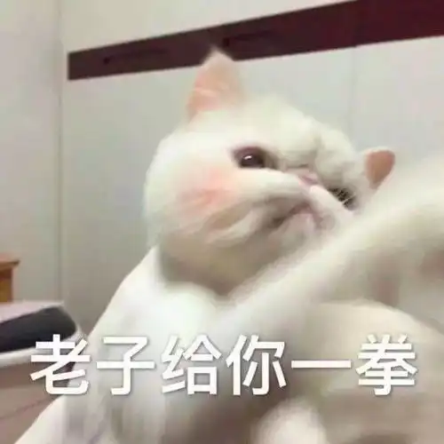扫黑除恶自述那些年,我在黑社会的日子
