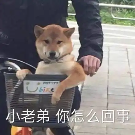 好运泡泡澡的相册沙雕表情包头像