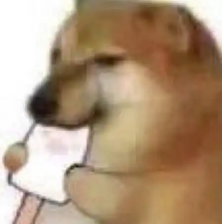 迷因灵魂
