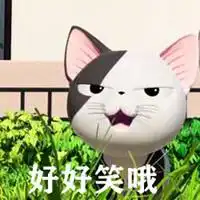 好好笑哦猫咪表情包微信头像图片大全
