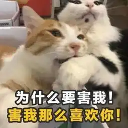聊天怎能少了这些表情包呢
