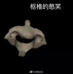 有人对你说呵呵,你要这样怼回去搞笑频道
