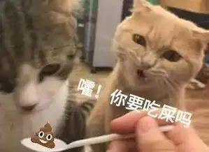 看着主人给其他小伙伴喂食的橘猫,仿佛经历了悲喜两重天
