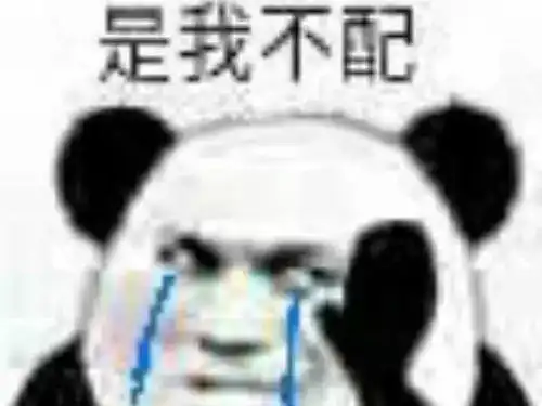 520适合单身狗的表情包
