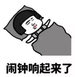 记我的百里杜鹃越野之旅
