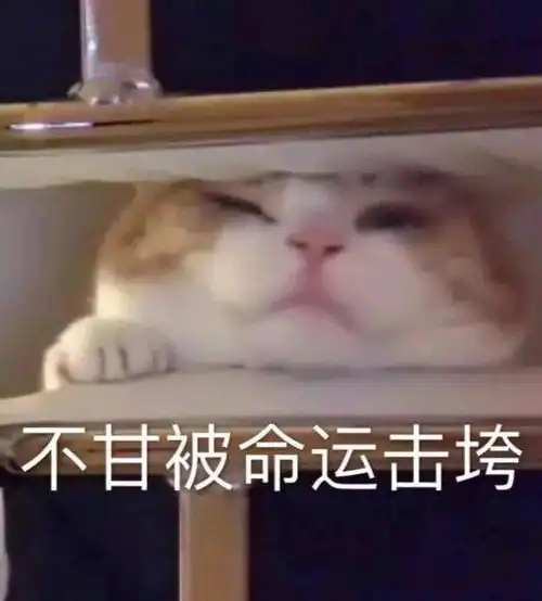 又一女星代孕被曝光
