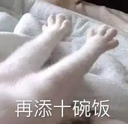 新晋黑暗料理这一碗沙茶盖饭身为厦门人的你,吃过吗
