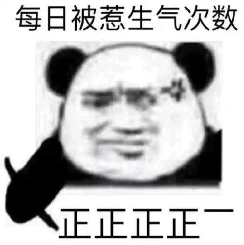 养了猫猫狗狗以后,我自闭了
