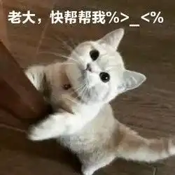 老奶奶说成grandma,外国人听了想揍你
