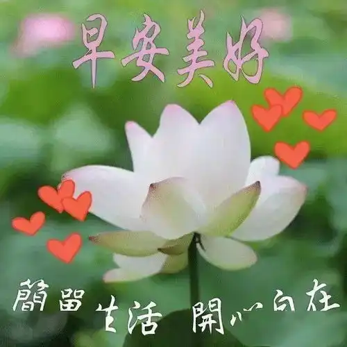 分享微信朋友清早祝福语漂亮图片动态表情,早安问候祝福语短信
