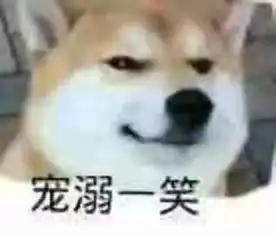 它的表情已成过去这只著名的表情包柴犬去世了
