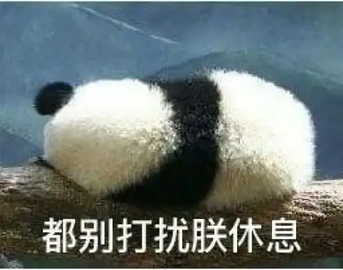 滚滚表情包胖砸的凝视
