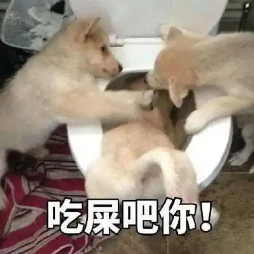表情包我yue了
