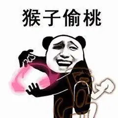 熊猫头表情包我将毕生的武功全都传给你
