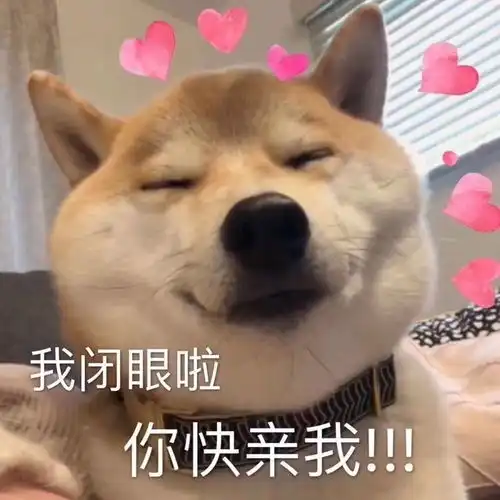 令人惊艳的侧颜照妈妈我又恋爱了
