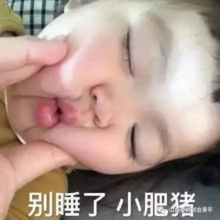 表情包专属推文
