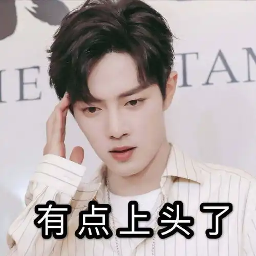 表情包肖战表情包