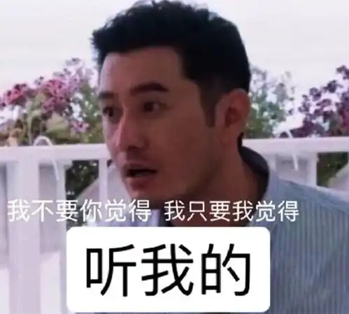 叮越南版全新planac攻略美食美景一键get
