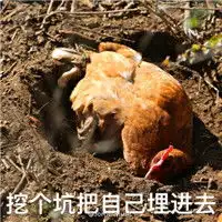 2017鸡年表情包搞笑文字版鸡听了只想赶快离开
