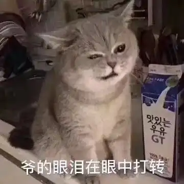 大学四年从没睡过一个安稳觉,隔壁住了个让我夜不能寐的小姐姐是种什么体验
