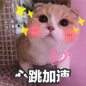 真有年味儿濮阳春节又添游玩好去处,美食年货啥都有....
