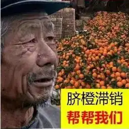 好的农产再也不愁销售特奢汇创客社区配送云南经济网
