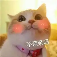 亲亲抱抱举高高表情包一套日常秀恩爱表情包猫咪表情
