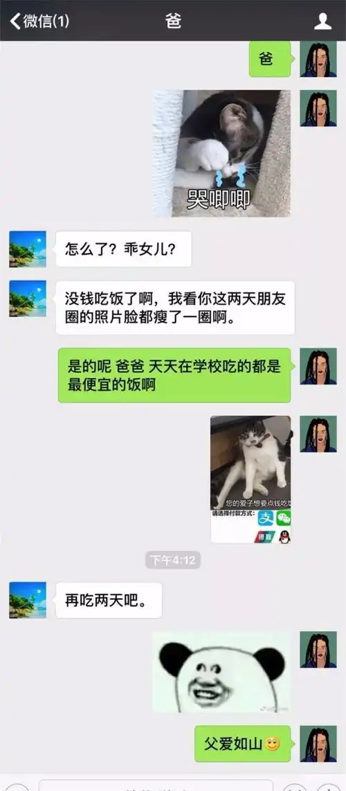 用这些猫咪表情包问爸妈要零花钱,发一张就能要来100块

