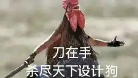 煦风新笺第四期确认阿熊前辈身份,受邀探险

