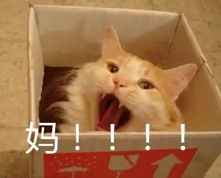 我以为这只是传说,直到今年
