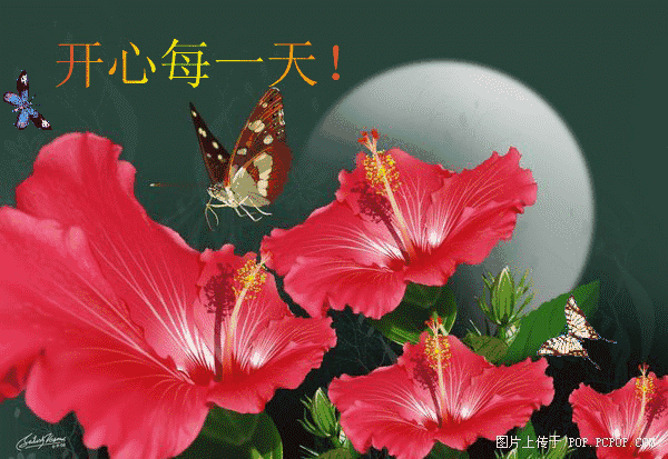 最棒最赞的正能量早上好问候语动态表情图,早安问候图片带字温馨

