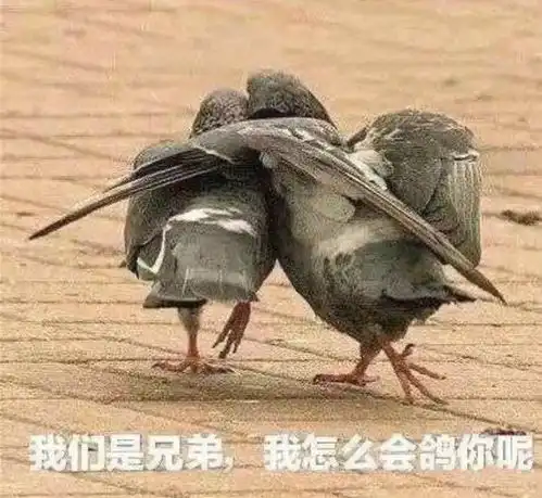lpl首个五年计划战队诞生,we官宣s10名单,957成独特视角
