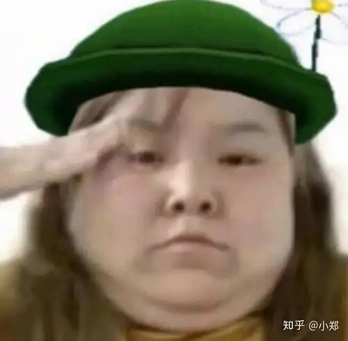有哪些很搞笑很魔性的图片或表情包
