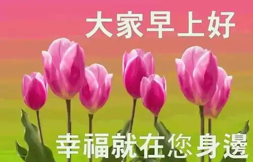 超级漂亮的早安祝福图片非常走心的早安问候语
