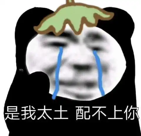 沙雕表情包l是我太土配不上你
