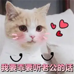 如果老公生气了那一定是我错了可爱猫咪表情包老公永远都是对的迷妹少女心表情包下载乐游网游戏下载

