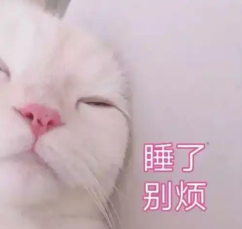 你最常用哪些有意思的表情包
