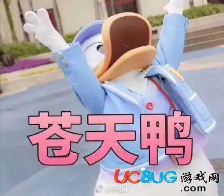 网上冲鸭高清无字表情包大全
