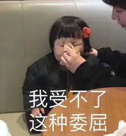 战斗力爆表的斗图表情包42张
