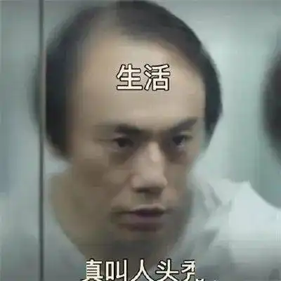 就挺秃然的最近不少兔子开启张东升模式
