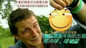 滑稽表情包增强你的斗图力
