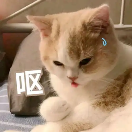 开心一笑教堂中正在举行婚礼,教堂外小明对小强说了这些
