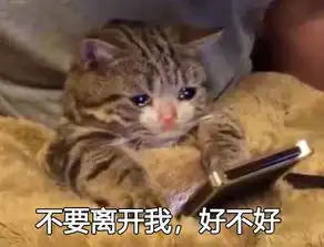 老子问你好不好表情包
