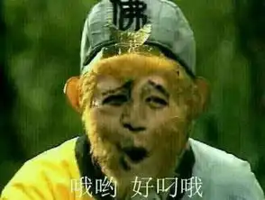 如何评价土耳其向俄罗斯道歉
