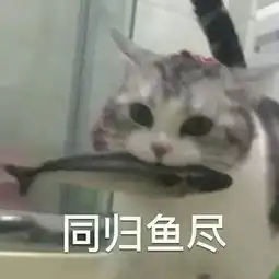炸鸡只吃一口,护肤两小时醒醒吧这才是真实的女明星日常
